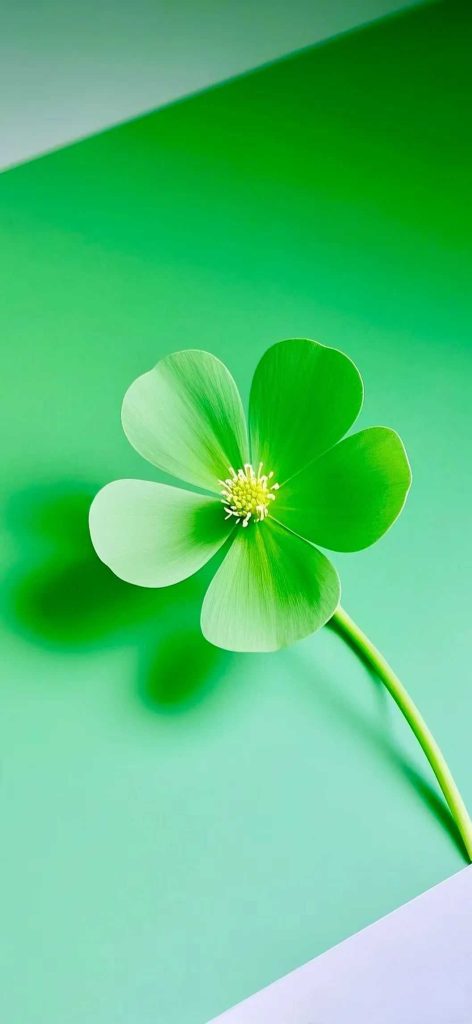 评论图片-资源汇