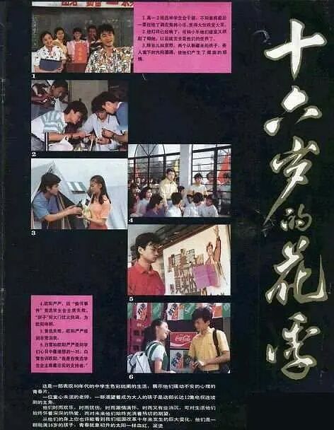 【稀缺国剧】「十六岁的花季 (1990) 14集未删减 东方影视台1080P（字幕版）【17.5G】」-资源汇