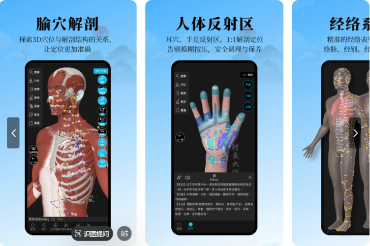 【Android】针灸大师-穴位解剖精准经络系统-医学生必备-会员版-资源汇