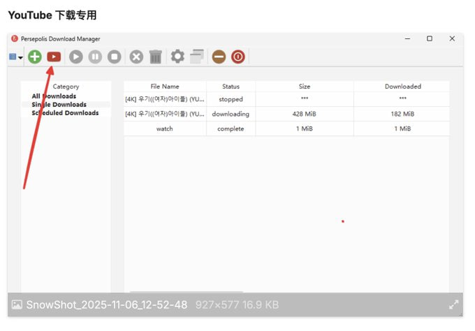 【PC】【真最强视频下载器】不止 YouTube 4K，其他下载链也能轻松拿捏-资源汇