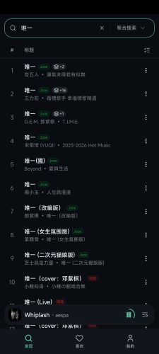 【Android】水獭音乐 Otter Music-资源汇