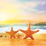 wsky的头像-资源汇