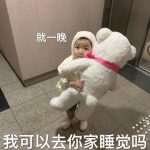 鲨鱼的头像-资源汇