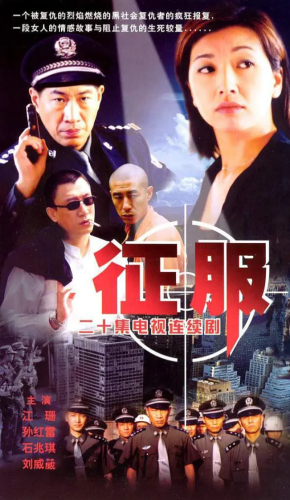 【经典剧集】征服 (2003) 全20集 1080P  剧情  犯罪 孙红雷-资源汇