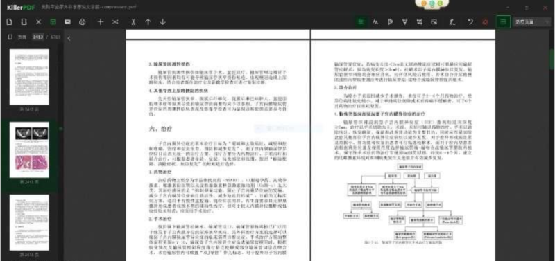 【PC】[吾爱大神原创汉化] 开源PDF编辑器 KillerPDF v1.4.1汉化修改版-资源汇